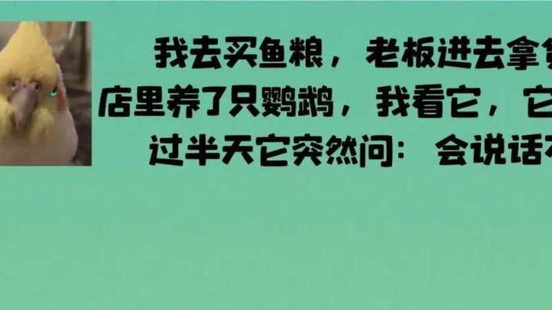 低脂代餐饼干怎么选厂家